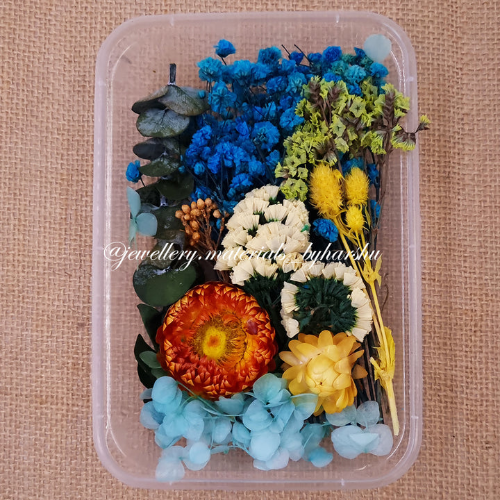 Dry Flower Box for Resin Art (Light and Dark Blue)