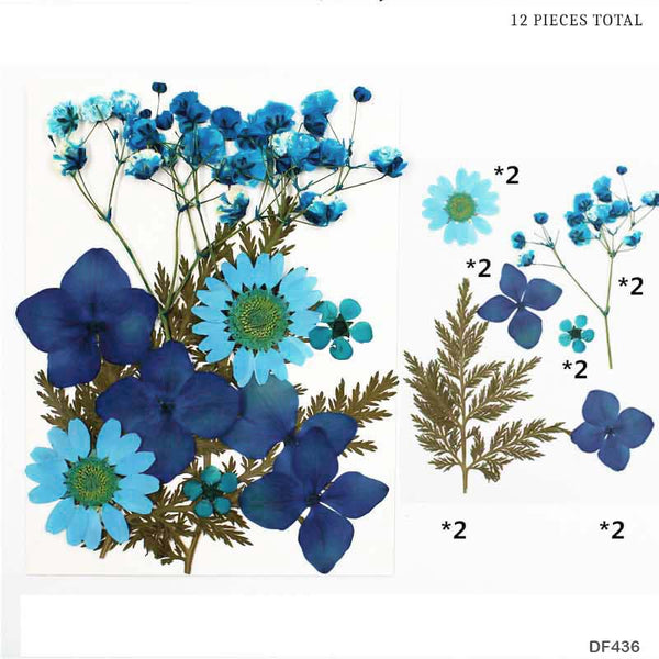 Dried Pressed Flowers with Leaves (Blue Color)