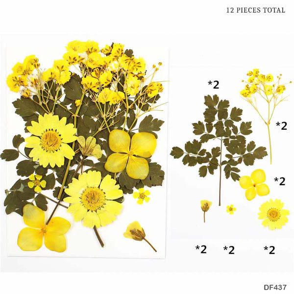 Dried Pressed Flowers with Leaves (Yellow Color)