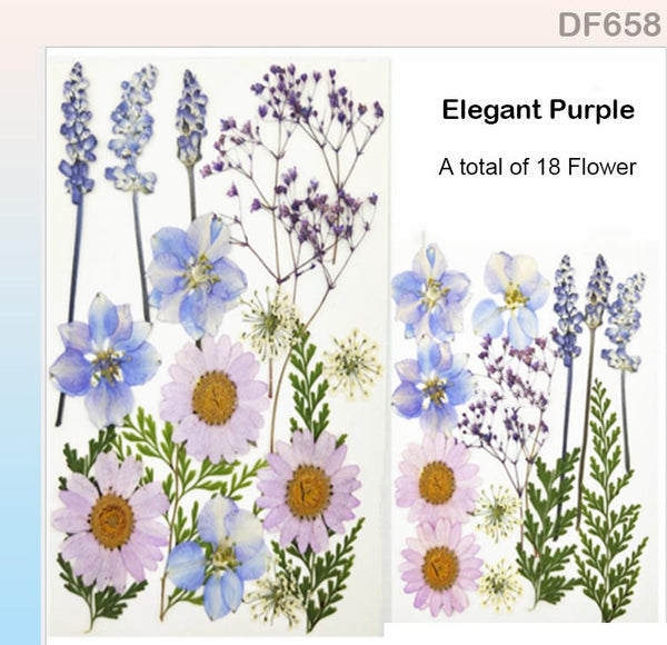 Dried Pressed Flowers (Light Purple Color)