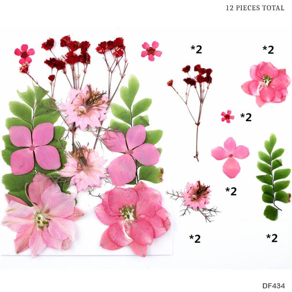 Dried Pressed Flowers (Light Pink Color)