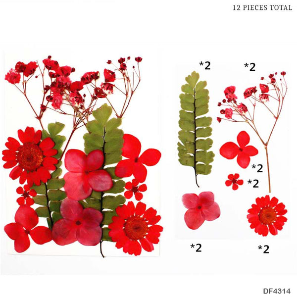 Dried Pressed Flowers with Leaves (Red Color)